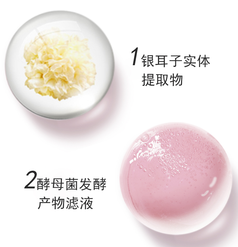 成分2.jpg