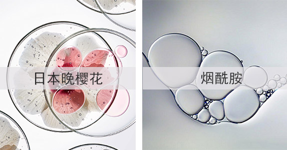 成分1.jpg