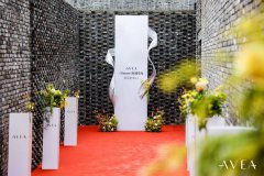 生理年龄逆转12岁？瑞士AVEA胶原前体2.0，一场关于“生物逆龄”的革命